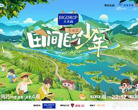 神婿叶凡在线阅读