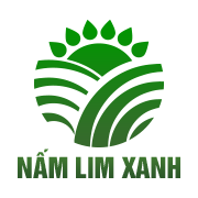 Nấm lim xanh