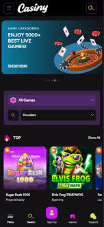 Explore the Thrills of Casiny Casino 18